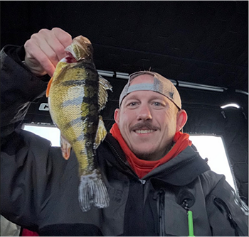 DANIEL FARMER's Yellow Perch 12inch