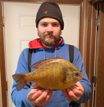 Benjamin Frostestad's Bluegill 10.25inch