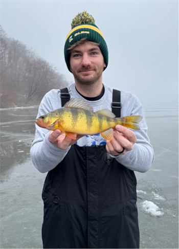 ALEX BERLAGE's Yellow Perch 12inch