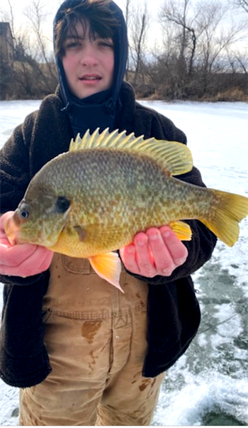 Kallan Goodwin's Green Sunfish 12inch, 01-26-25