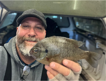 SHANE POWERS's Bluegill 10inch, 02-09-25