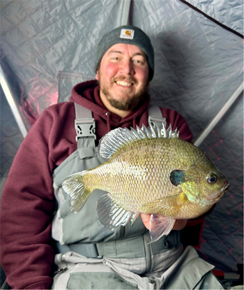 DERRICK BARNES's Bluegill 10.25inch