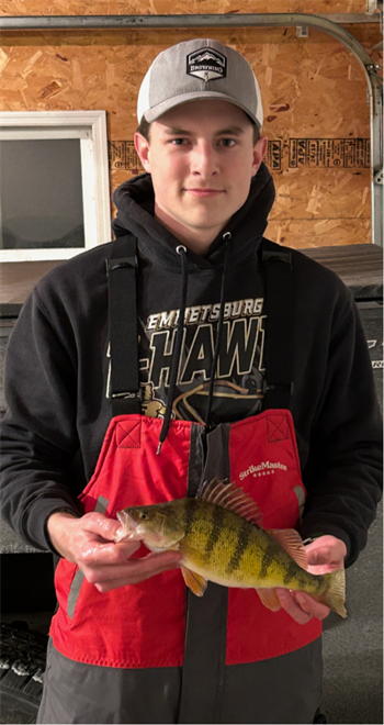 JOSHUA MATHEASON's Yellow Perch 13.3inch