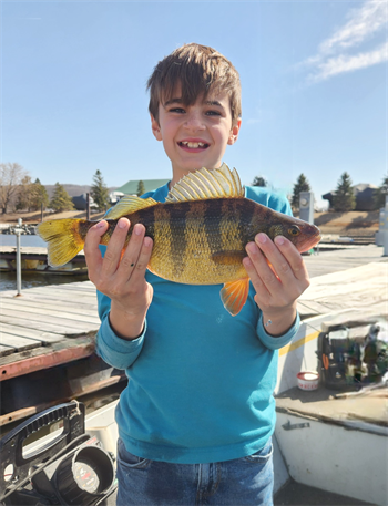 Brooks Benson's Yellow Perch 13inch