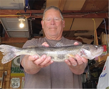 RANDY HOPKINS's Sauger 20.25inch, 05-25-25