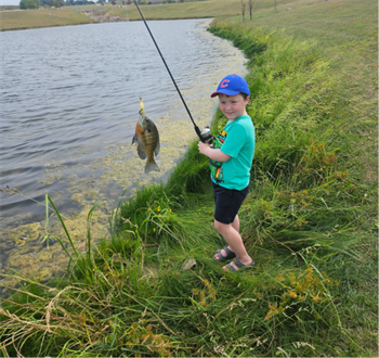 Hudson's Orangespotted sunfish