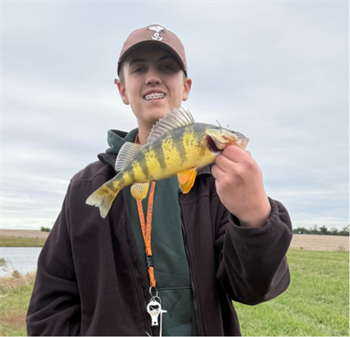 TALON EIGHMY's Yellow Perch 12inch, 10-26-25