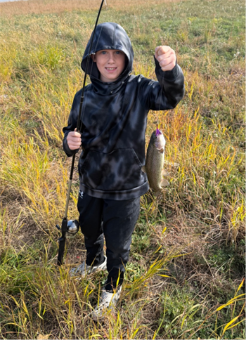 Rypken's Rainbow Trout