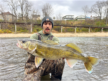 ZANE KIRUBAKARAN's Walleye 28.75inch, 11-07-25