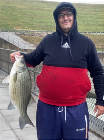 AHMED Jusufija's Wiper (Hybrid Striped Bass) 26inch, 11-08-25