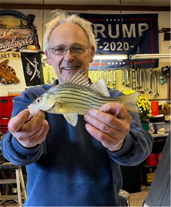 Paul Prichard's Yellow Bass 10.75inch