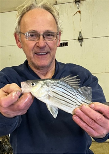 Paul Prichard's Yellow Bass 10.5inch