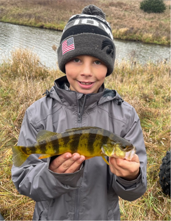 Lane Gilbert's Yellow Perch 12.25inch, 11-09-25
