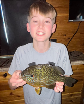 BENJAMIN NEWLIN's Pumpkinseed 9.25inch, 01-25-26