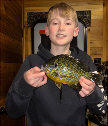 BENJAMIN NEWLIN's Pumpkinseed 9inch, 01-24-26