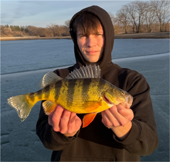 GRADY GODWIN's Yellow Perch 13inch, 02-14-26