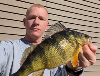 TIMOTHY DOLAN's Yellow Perch 12.25inch, 02-15-26