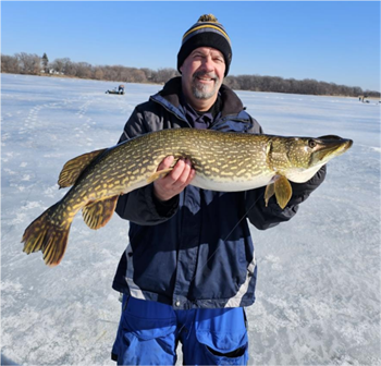 MARCUS MAJERCZYK's Northern Pike 37.5inch, 02-19-26