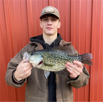 WAYLON HEIN's Black Crappie 16.5inch