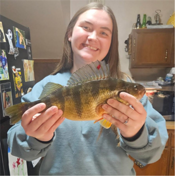 LANEY REESE's Yellow Perch 13.5inch