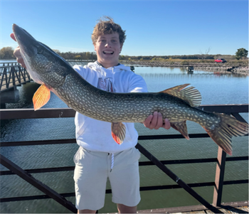 GRANT MEYER's Northern Pike 36.5inch, 10-23-25
