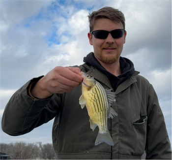 TIMOTHY FROSTESTAD's Yellow Bass 10.25inch, 03-13-26