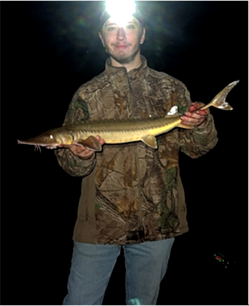 JACOB COOK's Shovelnose sturgeon 28inch, 04-01-26