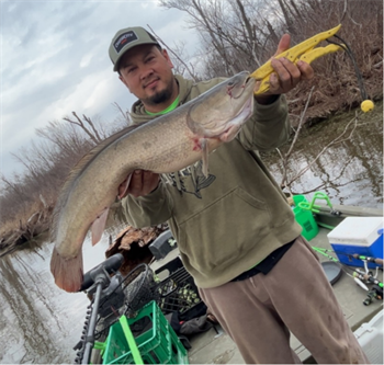 DUC NGUYEN's Bowfin 29inch, 04-03-26