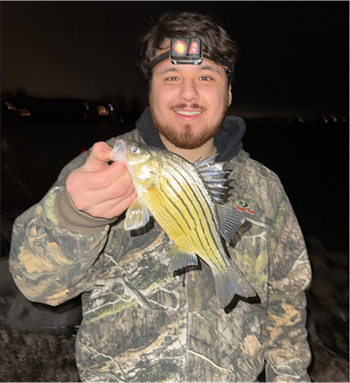 ALAN GRANILLO RODAS's Yellow Bass 10.5inch, 04-11-26