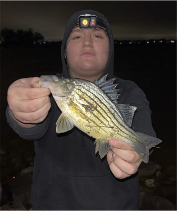 BRIAN RODAS's Yellow Bass 10.25inch