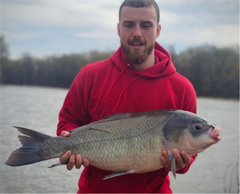 Eric Freuler's Bigmouth Buffalo 32inch