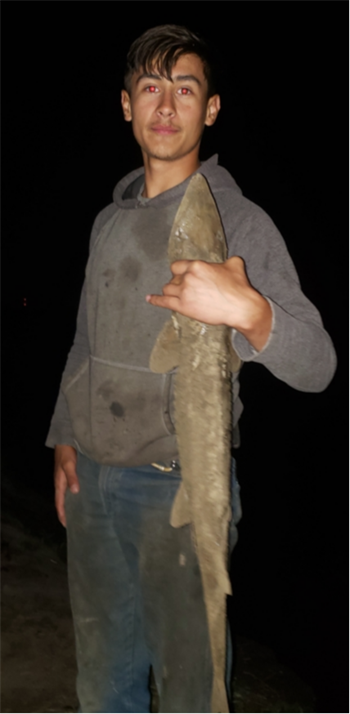 James O's Shovelnose sturgeon 32.25inch, 04-17-26