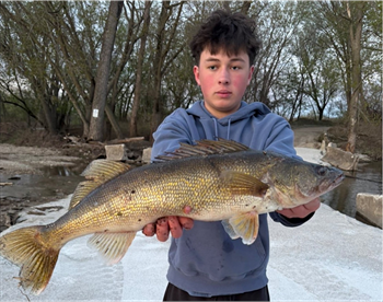 ANDREW WOODRICK's Walleye 27.5inch, 04-18-26