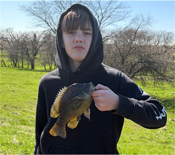 RIVER HATFILD's Green Sunfish 10.25inch, 04-19-26