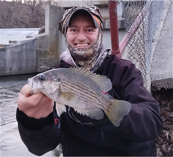 CHRISTOPHER PLACEK's Rock Bass 8.06inch, 04-18-26