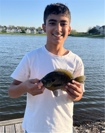 Nikhil Patel's Bluegill 10inch
