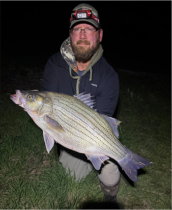 Timothy Lenox's Wiper (Hybrid Striped Bass) 27inch, 04-10-26