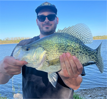 Taylor Hickman's Black Crappie 18inch