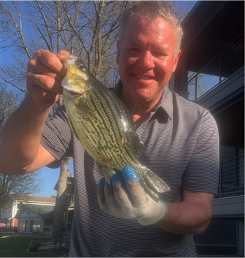 TONY THELEN's Yellow Bass 12.25inch