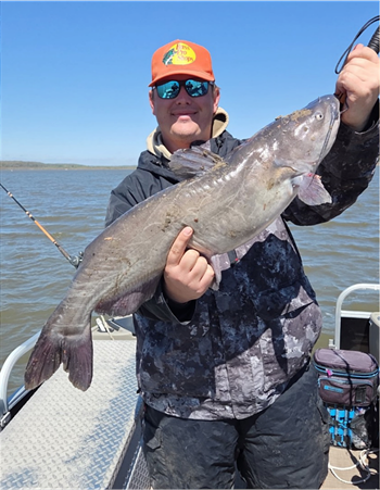CASEY DORHOUT's Channel Catfish 32.5inch, 04-24-26