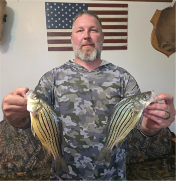 JARED LENZ's Yellow Bass 11inch, 04-25-26