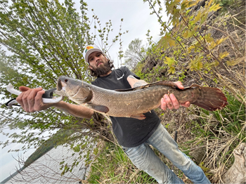 CHARLES KIRKPATRICK's Bowfin 28inch, 04-26-26