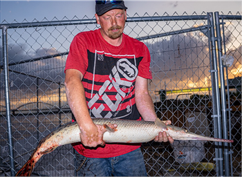 BRIAN LOWELL's Longnose Gar 45inch, 04-27-26