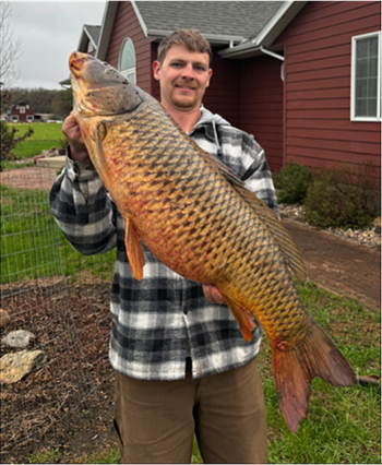 TIMOTHY FROSTESTAD's Common Carp 37inch, 04-27-26