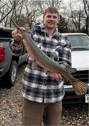 TIMOTHY FROSTESTAD's Shortnose gar 29inch, 04-27-26