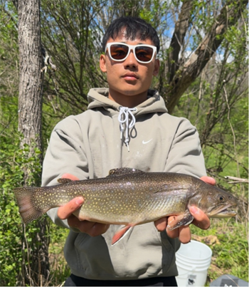 PI TAR's Brook Trout 16inch, 05-01-26