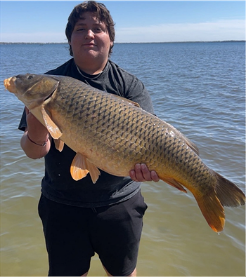BRIAN RODAS's Common Carp 33.5inch, 05-03-26