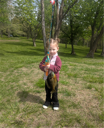 Andy's Bluegill