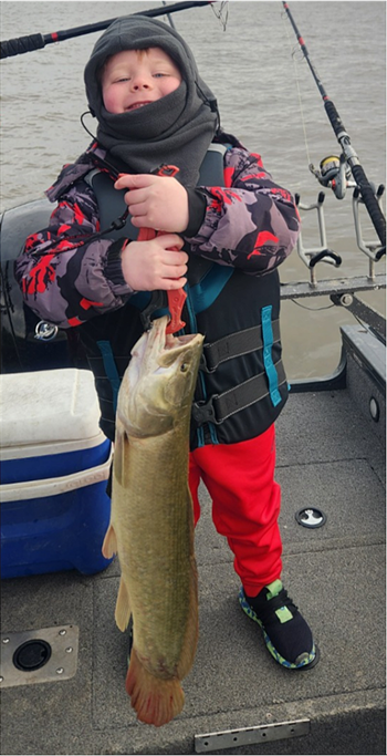 S.j. Cannon's Bowfin 29inch, 05-03-26
