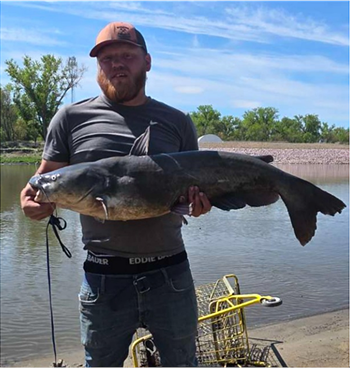 ALEXANDER RICHARD's Channel Catfish 40inch, 05-10-26
